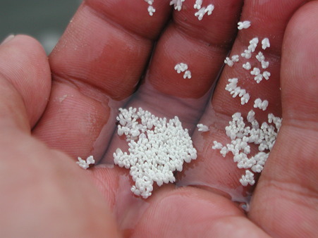 西表、カヤック 087