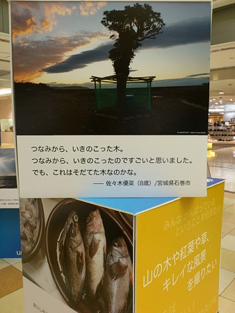 UNICEF