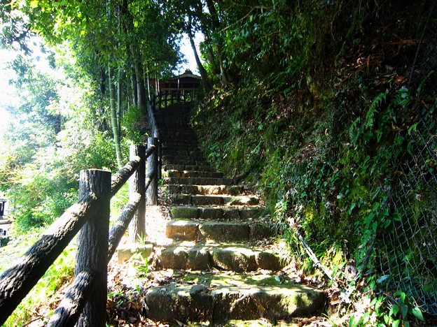 郡上八幡城への道