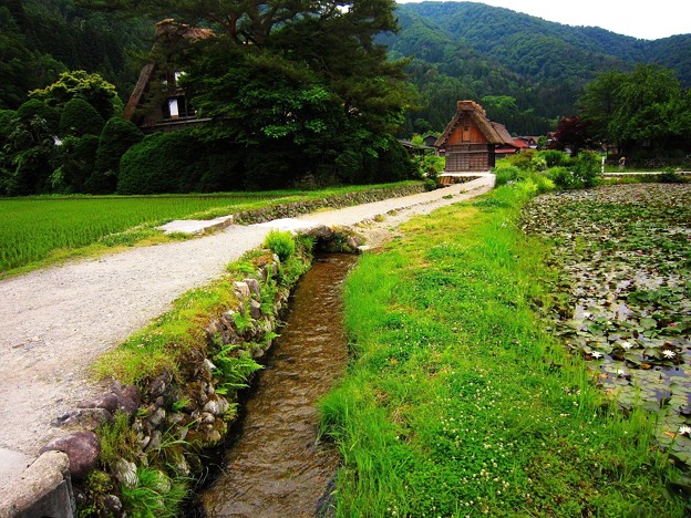 白川村