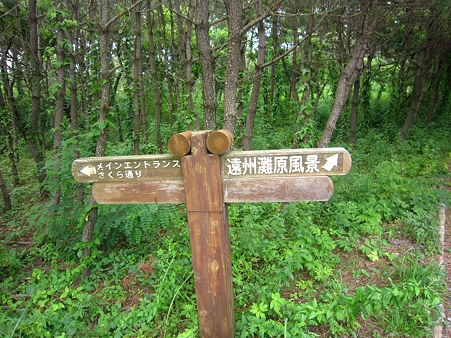 遠州灘原風景