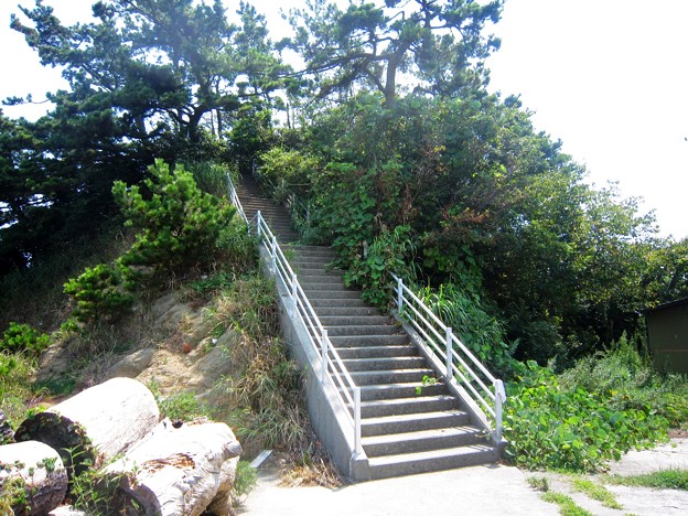 篠島北部