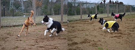 20120307_1