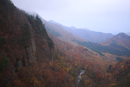 二口林道　山形側
