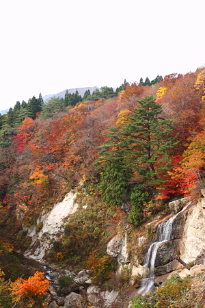 面白山紅葉川渓谷　藤花の滝