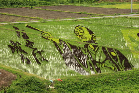 生せは生る 成さねは生らぬ 何事も