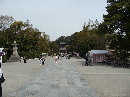 120413-八幡さま (20)