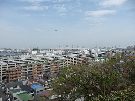 120413-港の見える丘公園 (12)
