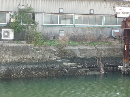 120413-港の見える丘公園 (46)
