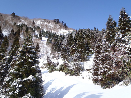 2012032008