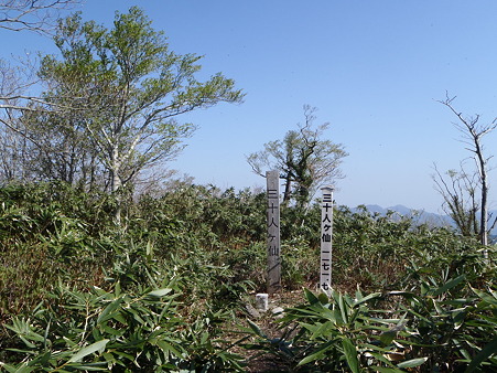 2012050501