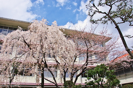 大阪府立桜塚高校　中庭