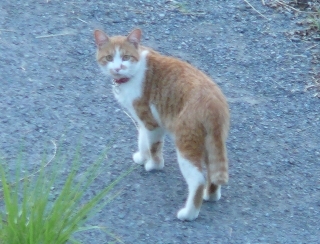 気が付いた
