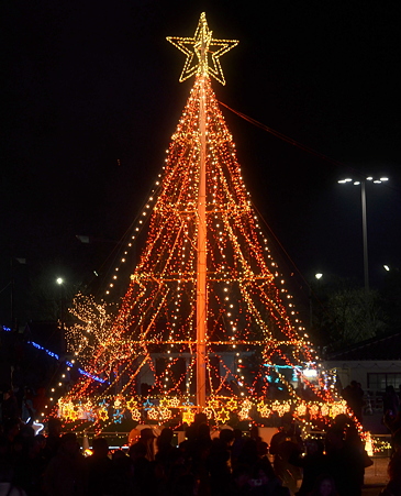 Brightness Tree(1)