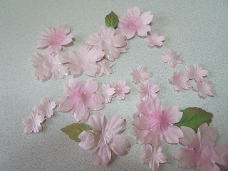sakura