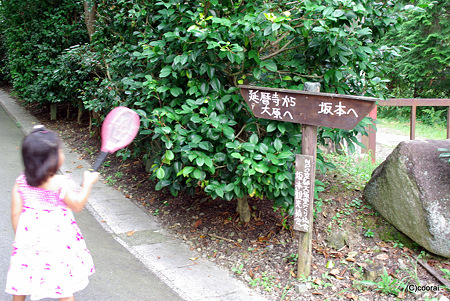 道標