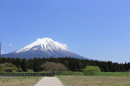 DPP_0011