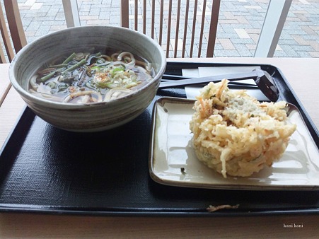 北関東道 笠間PAのうどん
