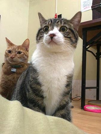 脇を固めるキィ&ディス