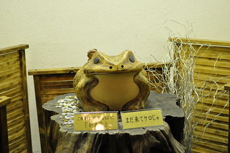 カエルがお出迎え