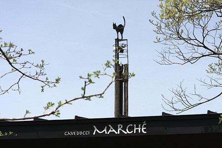 2012.05.01　新潟　Cave d'Occi　Marche