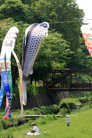 2012.05.06　和泉川　鯉幟