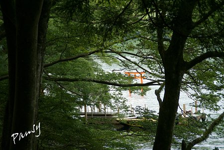 鳥居のみえる風景・・
