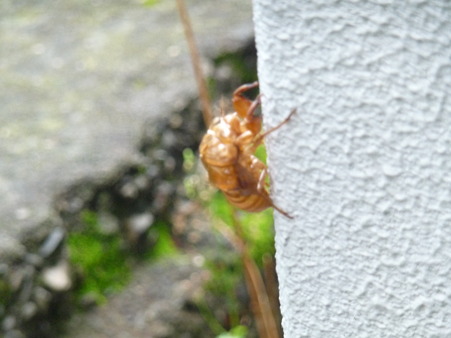 P1050114