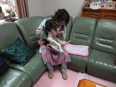 あんまり家族を困らせるんじゃないよ