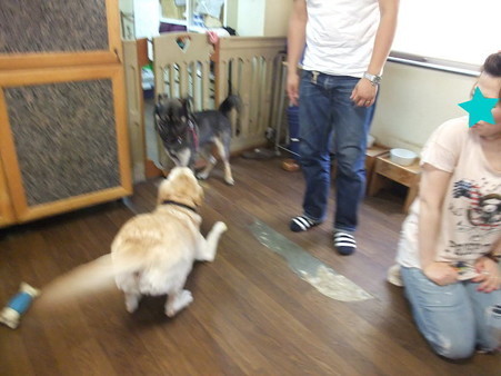 遊ぼう~~!!