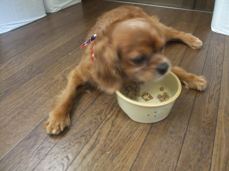 懐かしの食べ方
