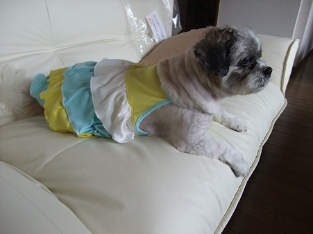 可愛い服から5重首?!