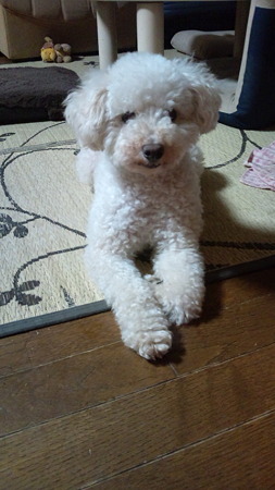 2011.7.14