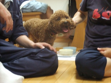みんなと仲良く出来そうかな?