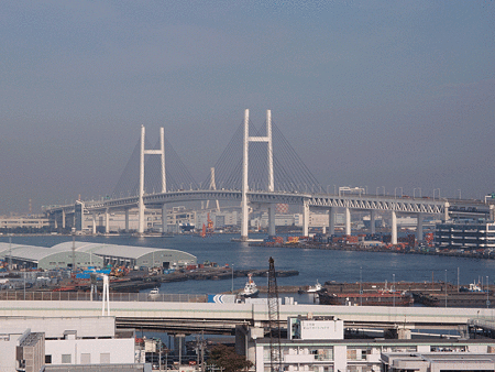 PB020290-800