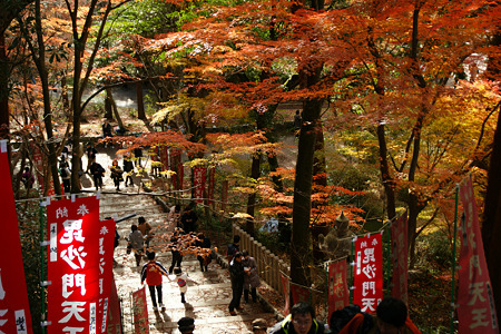 毘沙門堂の紅葉20111204c