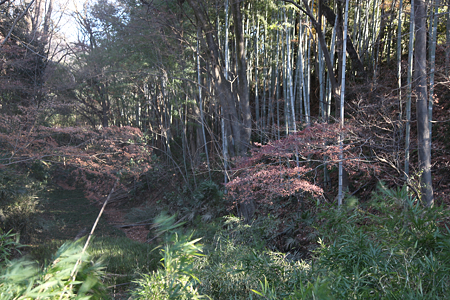 武田神社・躑躅ヶ崎館 - 04