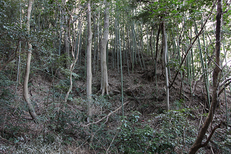 大野城 - 01