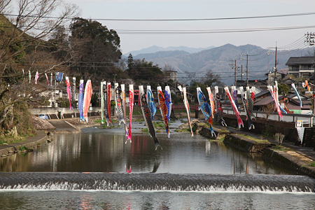 津山城 - 011