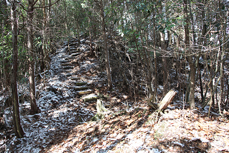 桂城 - 3