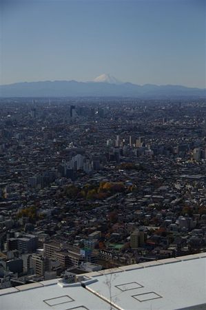 DSC_0162