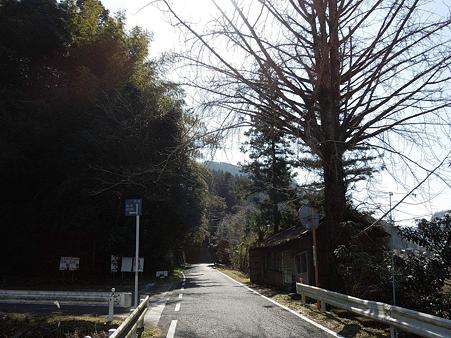 DSCN0199