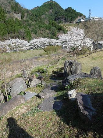 DSCN1621