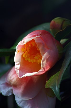 IMGP6146