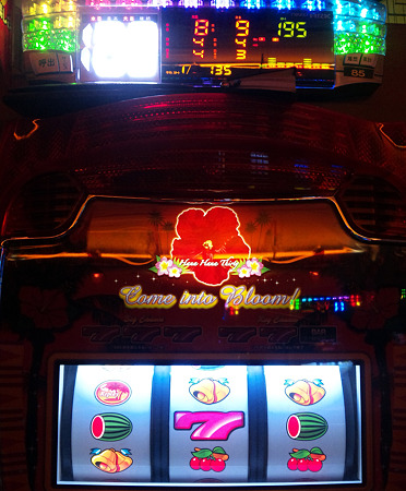 DVC00454_edited