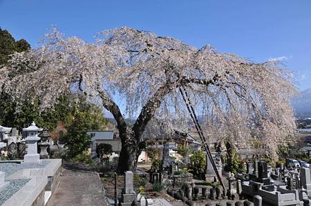 富士フィルム傍5