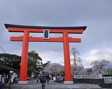 富士宮浅間神社桜祭り4