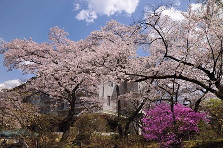 富士ビューホテル6