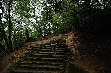 1104271638_DSC_0425