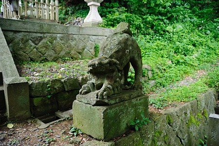 1106220524_DSC_0621